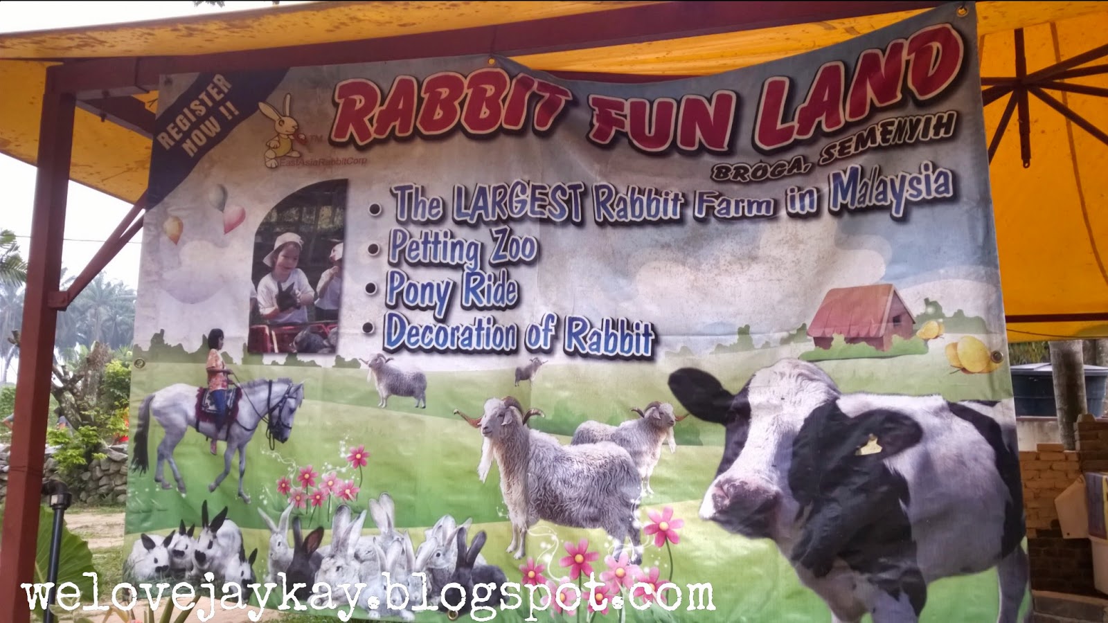 Broga Rabbit Fun Land (Rabbit Farm in Semenyih, Malaysia) 马来西亚兔子乐园